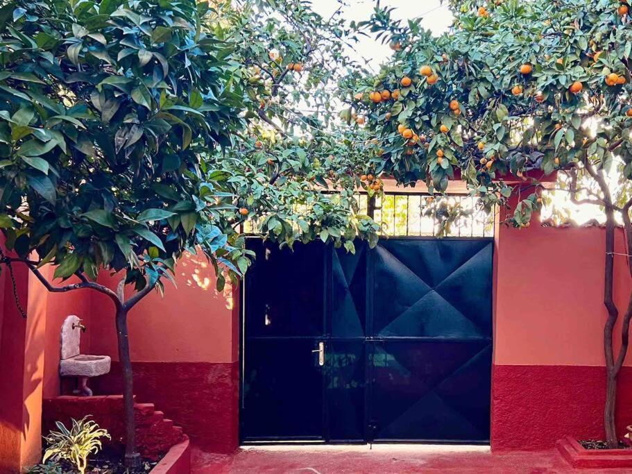 Zarlett House, Pazari Ri ,Villa With Garden,Parking Тирана Екстер'єр фото
